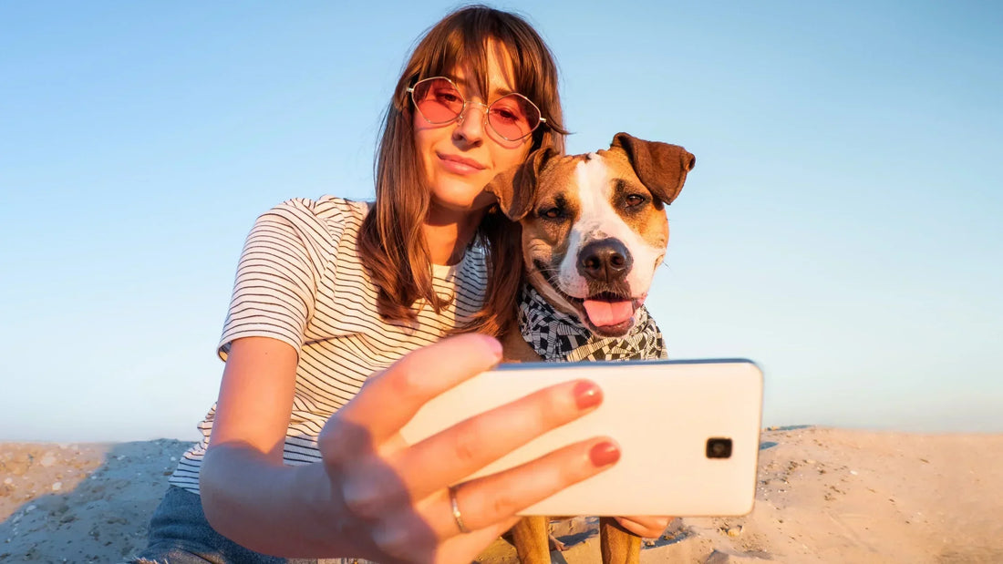 Comment photographier son chien pour un portrait parfait